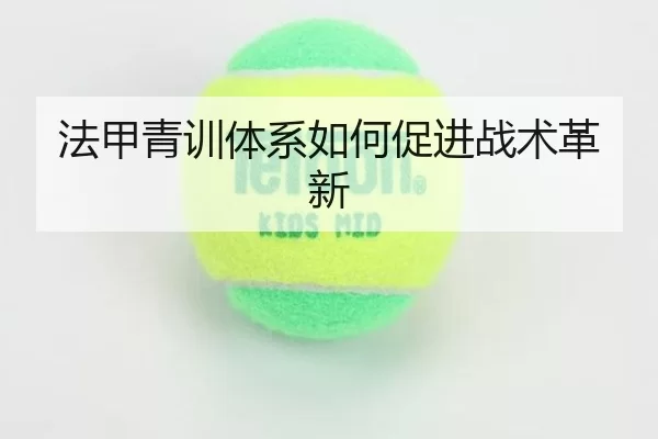法甲青训体系如何促进战术革新
