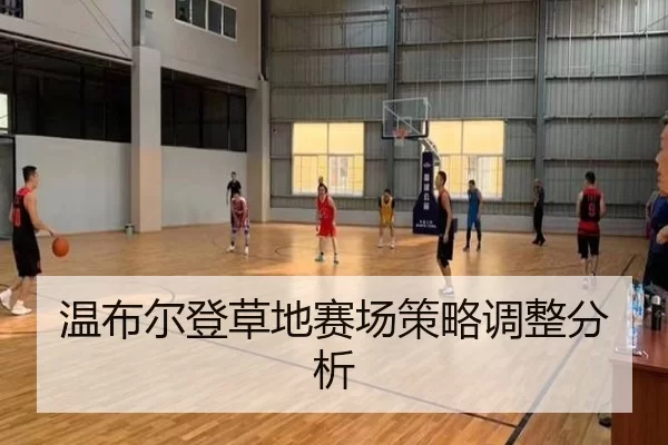 温布尔登草地赛场策略调整分析